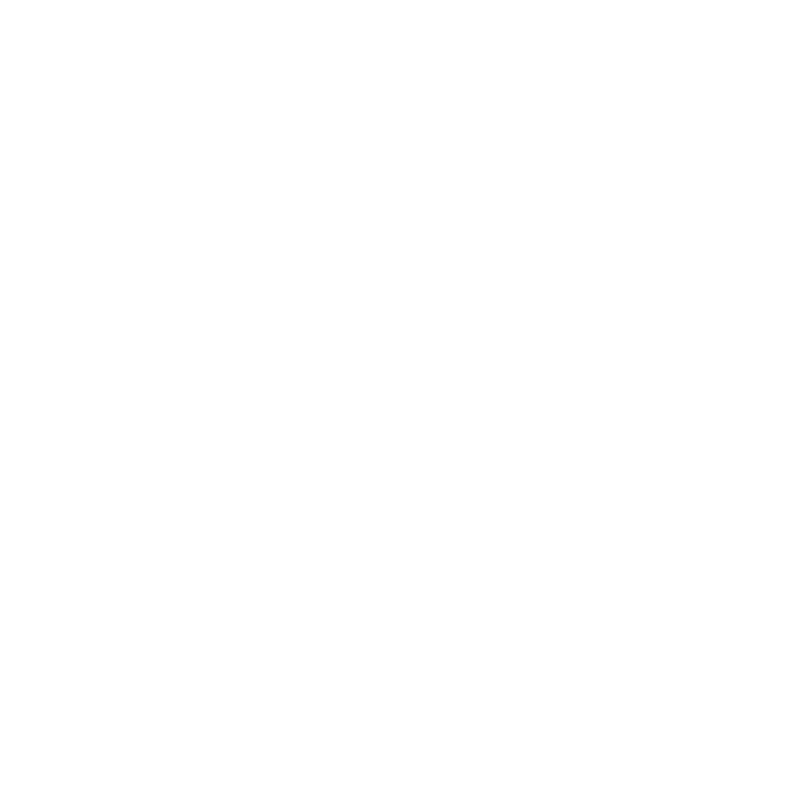 The Momentary